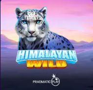 Himalayan Wild
